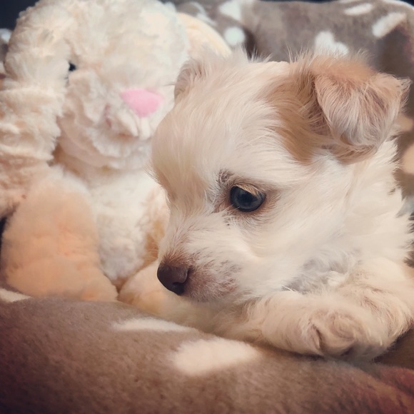 Meet your Posher, Lisa - Picture 13 of 15